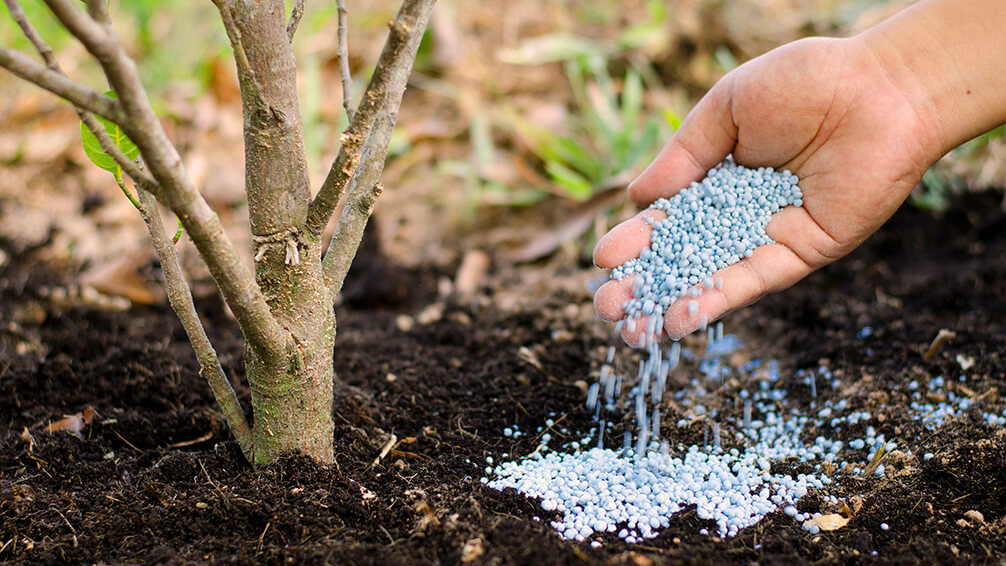 fertilizing services orinda ca